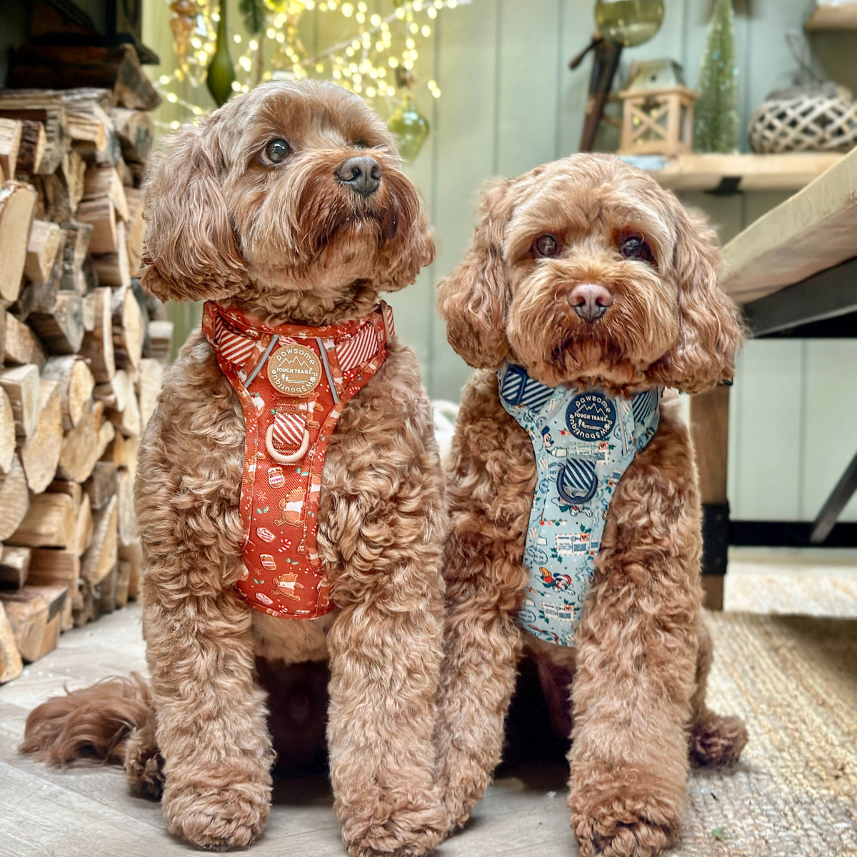 Disney Christmas Pawsome Paws Boutique Wholesale