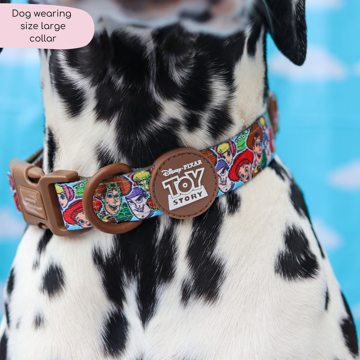 Collar - Toy Story Friends