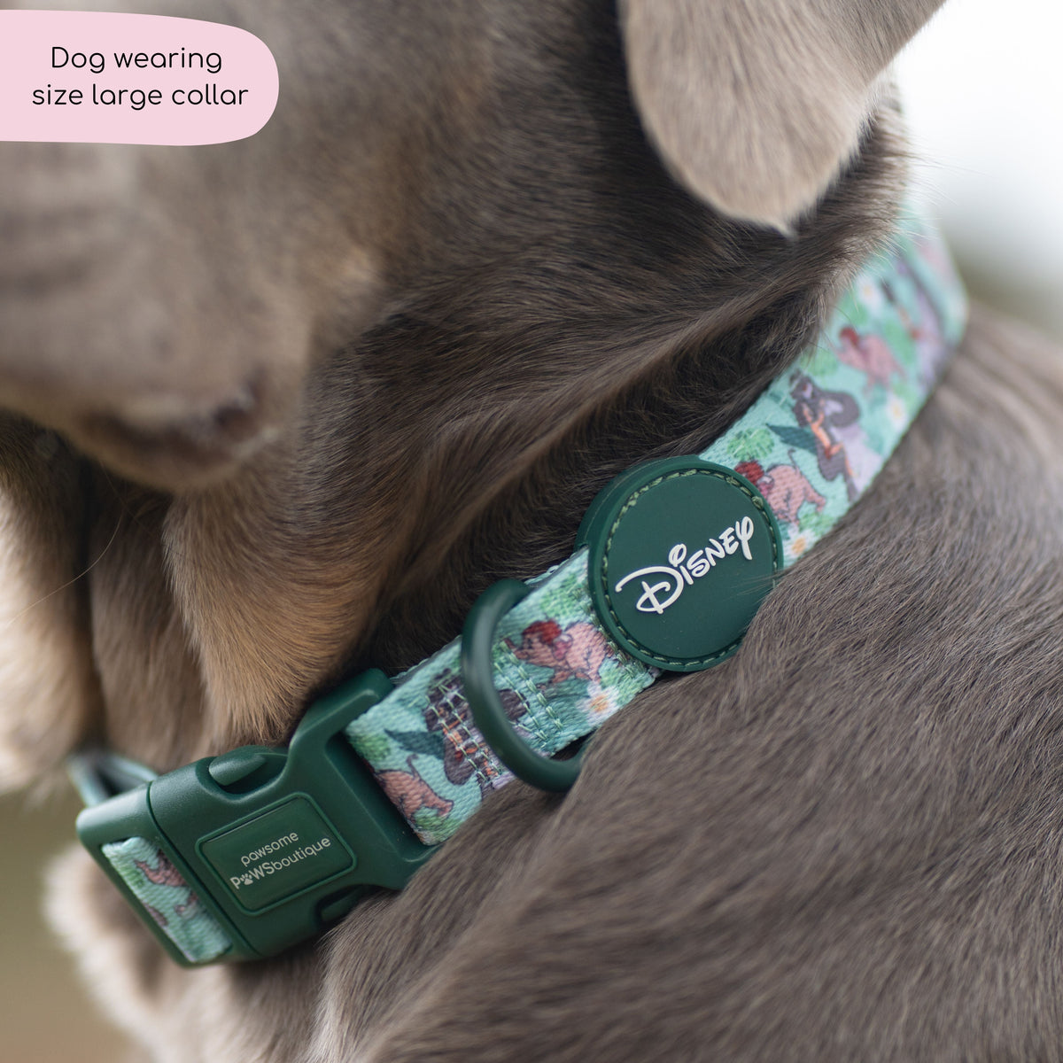 Disney© Collar Jungle Book Pawsome Paws Boutique Wholesale