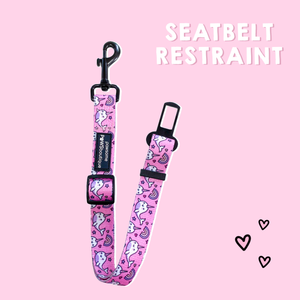 Seat Belt Restraints