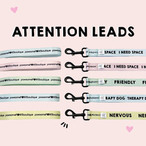 Attention Leads