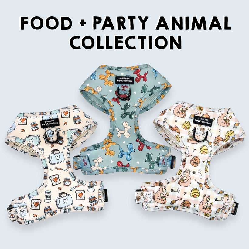 Food + Party Animal Collection