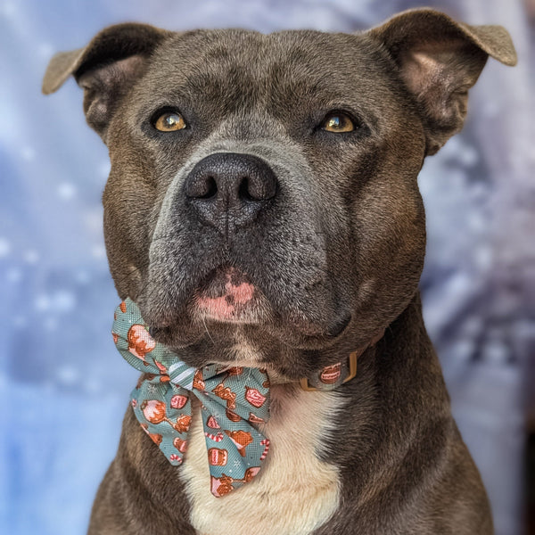 Disney© Sailor Bow - Gingerbread Bear Sage