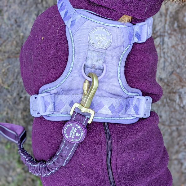 Handsfree Lead - Walkies Ready® Plum