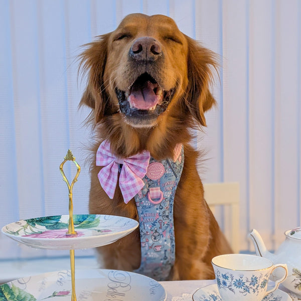Sailor Bow - Mad Hatters Tea Party