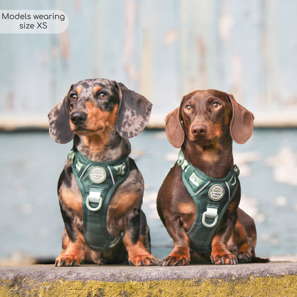 Tough Trails™ Harness - Walkies Ready® Forest Green