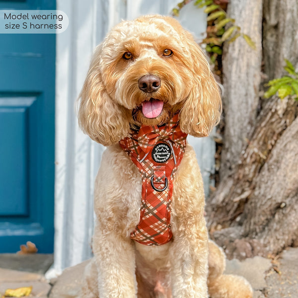 Tough Trails™ Harness - Pumpkin Plaid