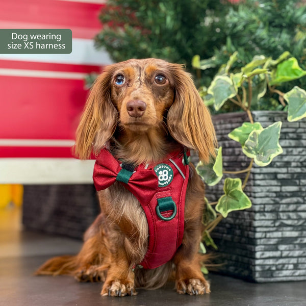 Tough Trails™ Harness - Walkies Ready® Snowy Mountains