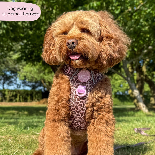 Tough Trails™ Harness -  Leopard Print
