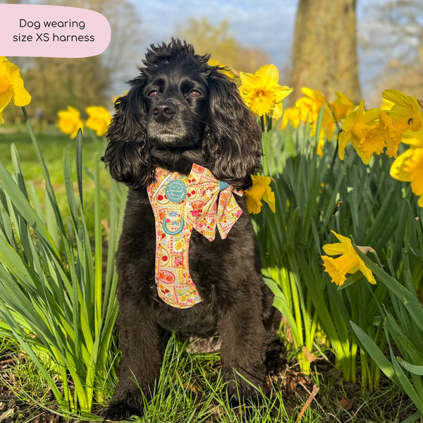 Tough Trails™ Harness -  Summer Vacay