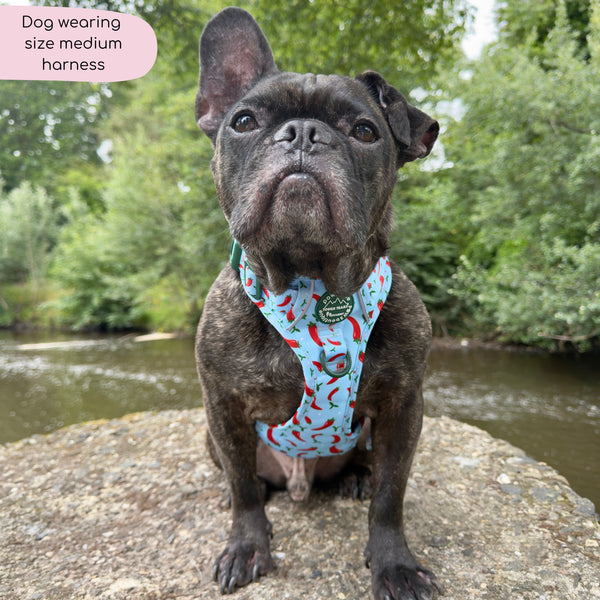 Tough Trails™ Harness - Stay Spicy