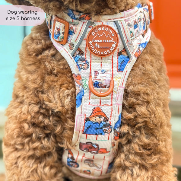 Paddington™ Tough Trails™ Harness - Peckish Paddington