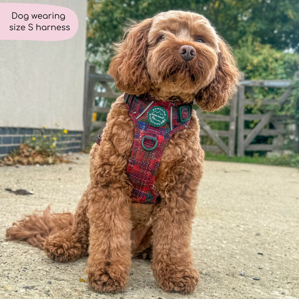Tough Trails™ Harness - Yuletide Plaid