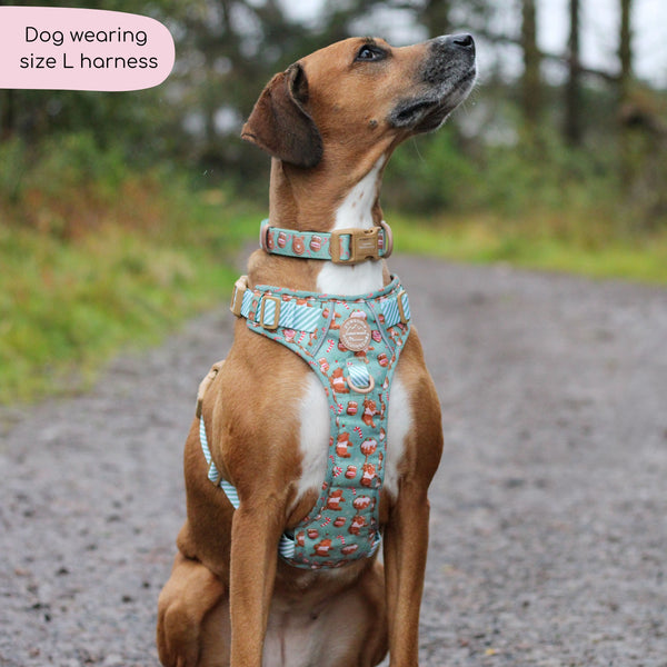 Disney© Tough Trails™ Harness - Gingerbread Bear Sage