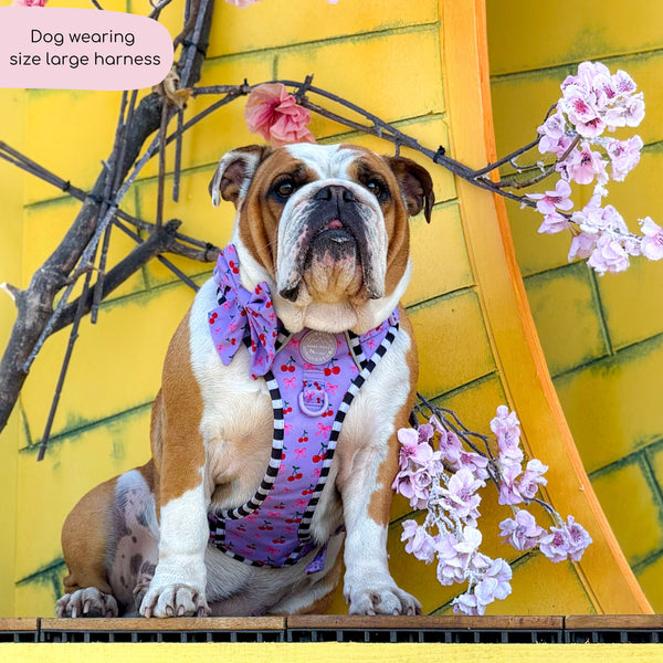 Tough Trails™ Harness -  Cherry Bomb