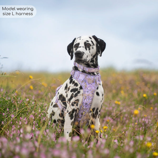 Disney© Tough Trails™ Harness - Bambi + Friends Lilac