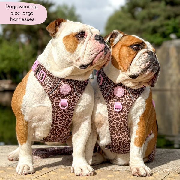 Tough Trails™ Harness -  Leopard Print