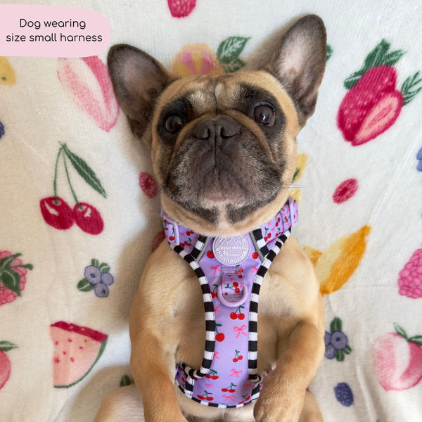 Tough Trails™ Harness -  Cherry Bomb