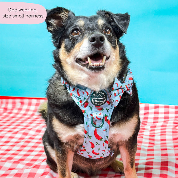 Tough Trails™ Harness - Stay Spicy