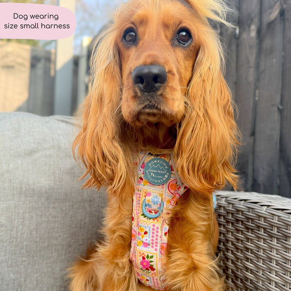Tough Trails™ Harness -  Summer Vacay