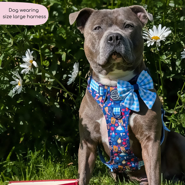 Tough Trails™ Harness - Alice In Wonderland