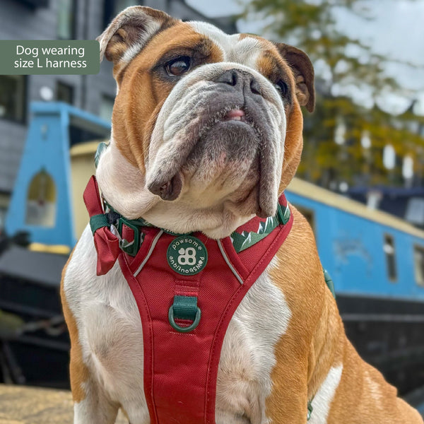 Tough Trails™ Harness - Walkies Ready® Snowy Mountains