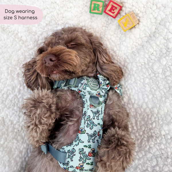 Disney© Tough Trails™ Harness - Rex