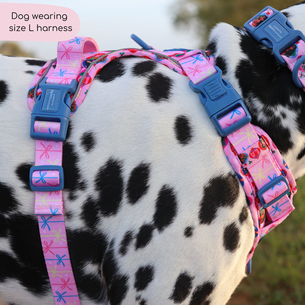 Disney© Tough Trails™ Harness - Princess