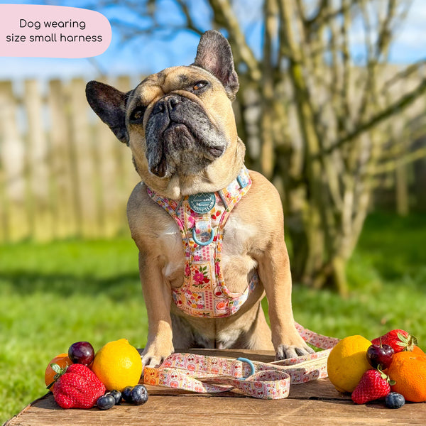 Tough Trails™ Harness -  Summer Vacay