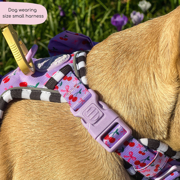 Tough Trails™ Harness -  Cherry Bomb