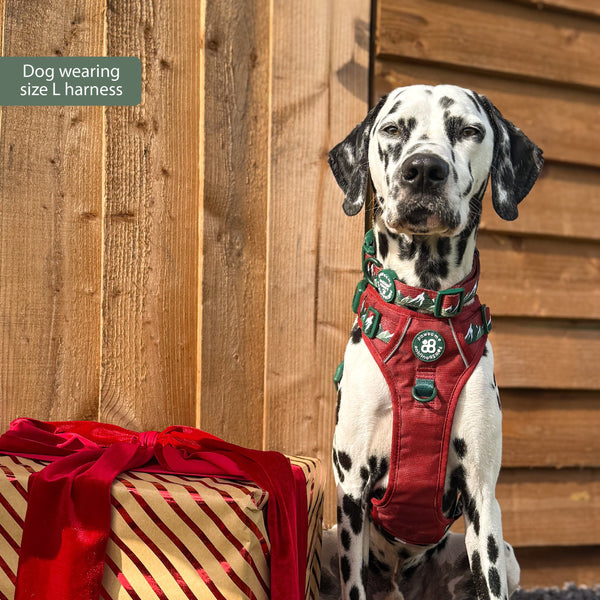 Tough Trails™ Harness - Walkies Ready® Snowy Mountains