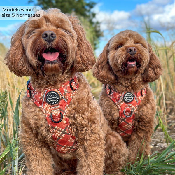 Tough Trails™ Harness - Pumpkin Plaid