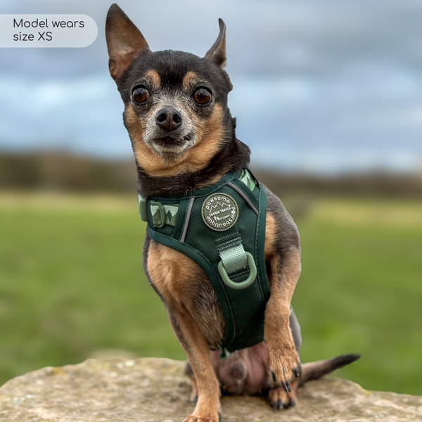 Tough Trails™ Harness - Walkies Ready® Forest Green