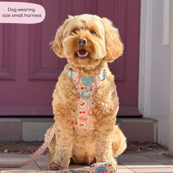 Tough Trails™ Harness -  Summer Vacay