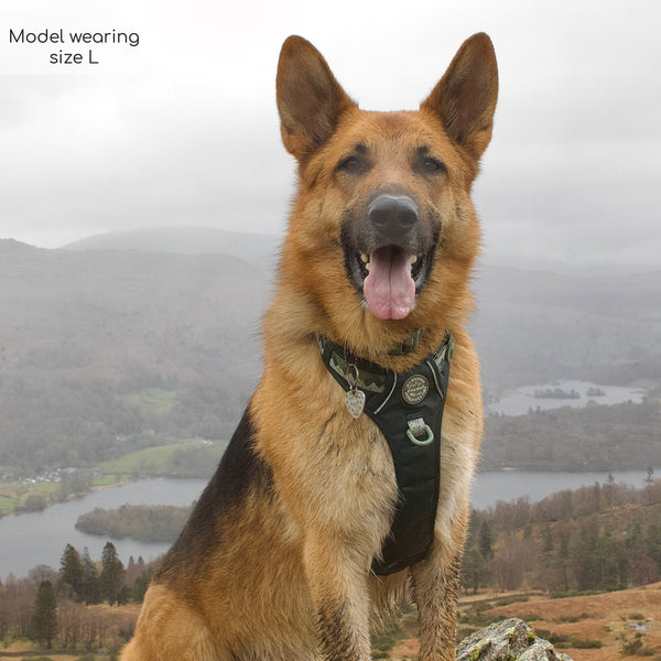 Tough Trails™ Harness - Walkies Ready® Forest Green