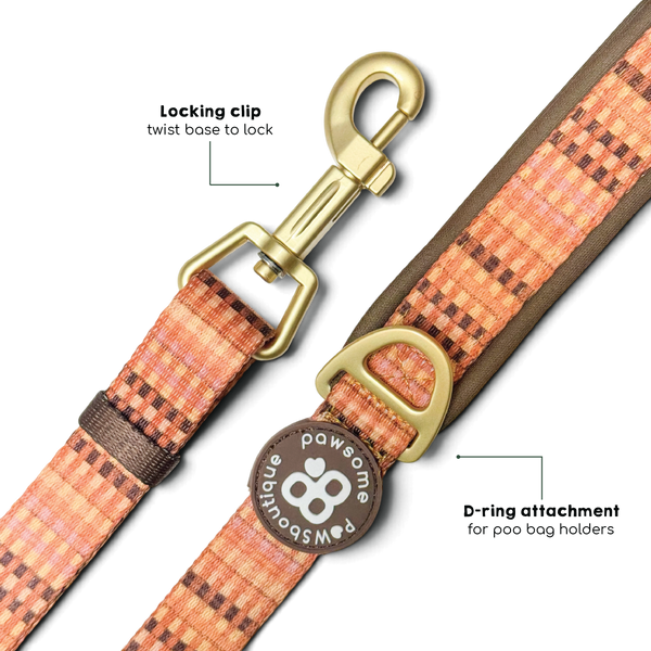 AdjustFit Lead - Golden Acre