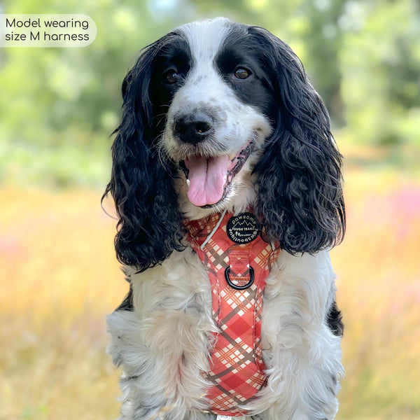 Tough Trails™ Harness - Pumpkin Plaid