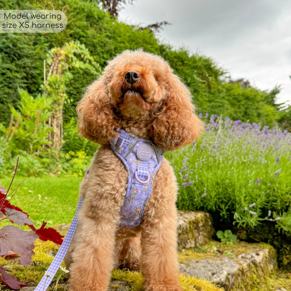 Disney© Tough Trails™ Harness - Bambi + Friends Lilac