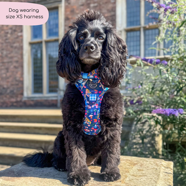 Tough Trails™ Harness - Alice In Wonderland