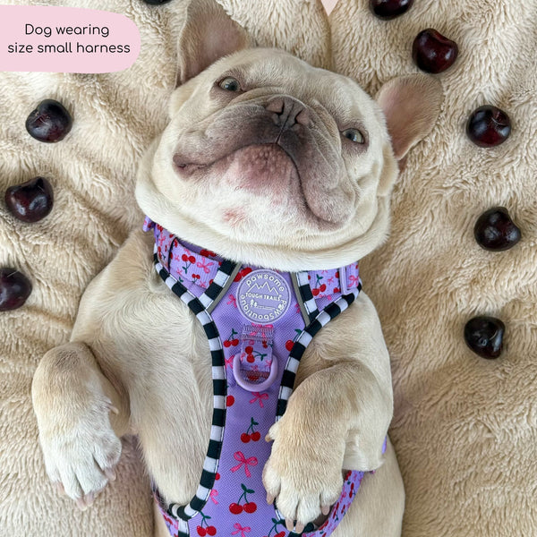 Tough Trails™ Harness -  Cherry Bomb