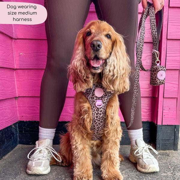 Tough Trails™ Harness -  Leopard Print