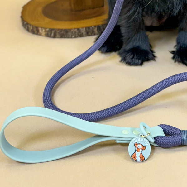 4ft Rope Lead - Winnie + Friends - Sage and Blue