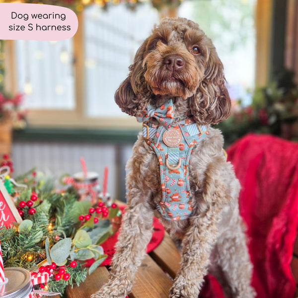 Disney© Tough Trails™ Harness - Gingerbread Bear Sage