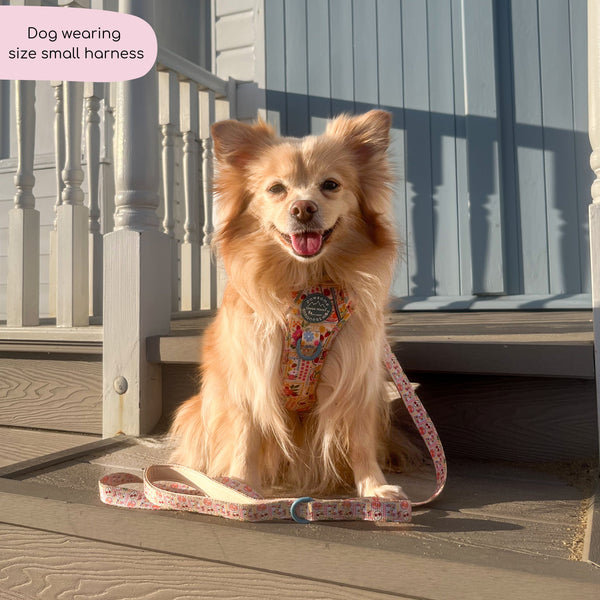 Tough Trails™ Harness -  Summer Vacay