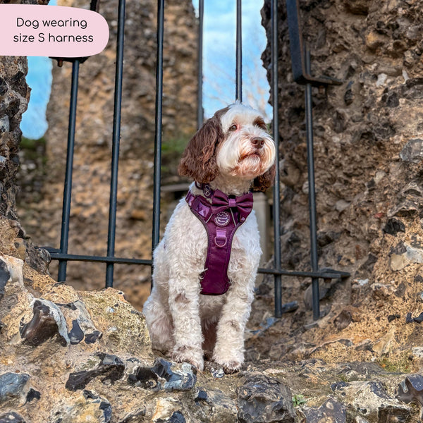 Tough Trails™ Harness - Walkies Ready® Plum