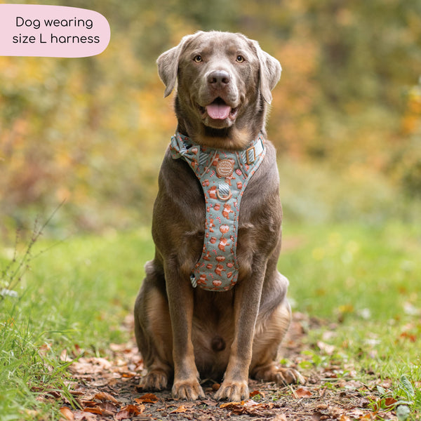 Disney© Tough Trails™ Harness - Gingerbread Bear Sage