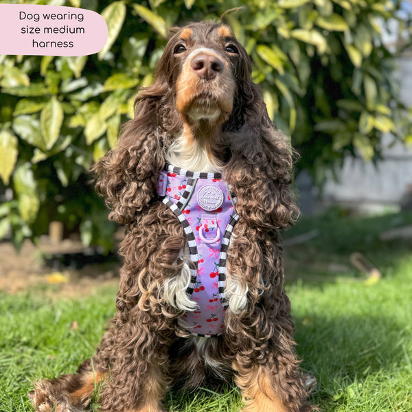 Tough Trails™ Harness -  Cherry Bomb
