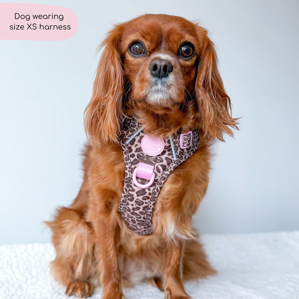 Tough Trails™ Harness -  Leopard Print