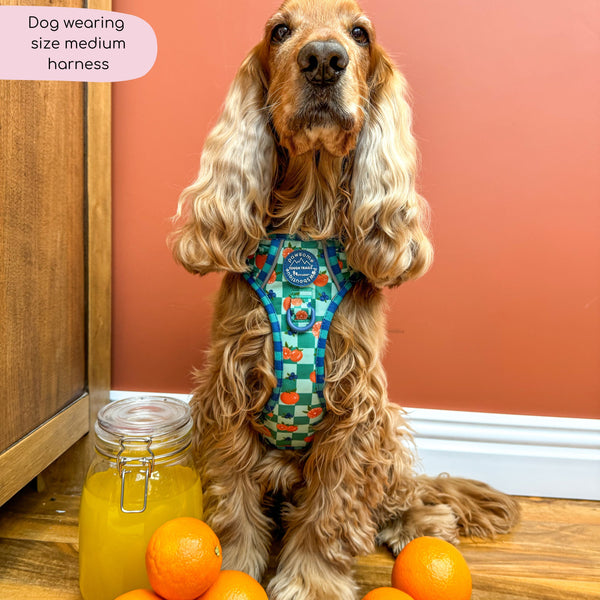 Tough Trails™ Harness -  Fruit Punch