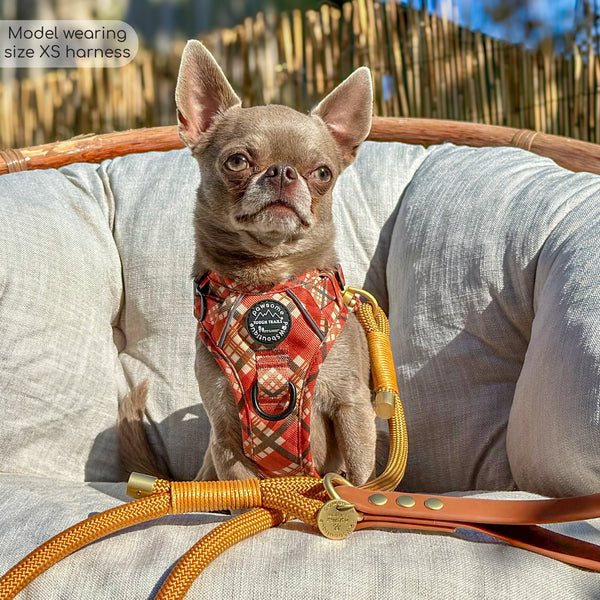 Tough Trails™ Harness - Pumpkin Plaid